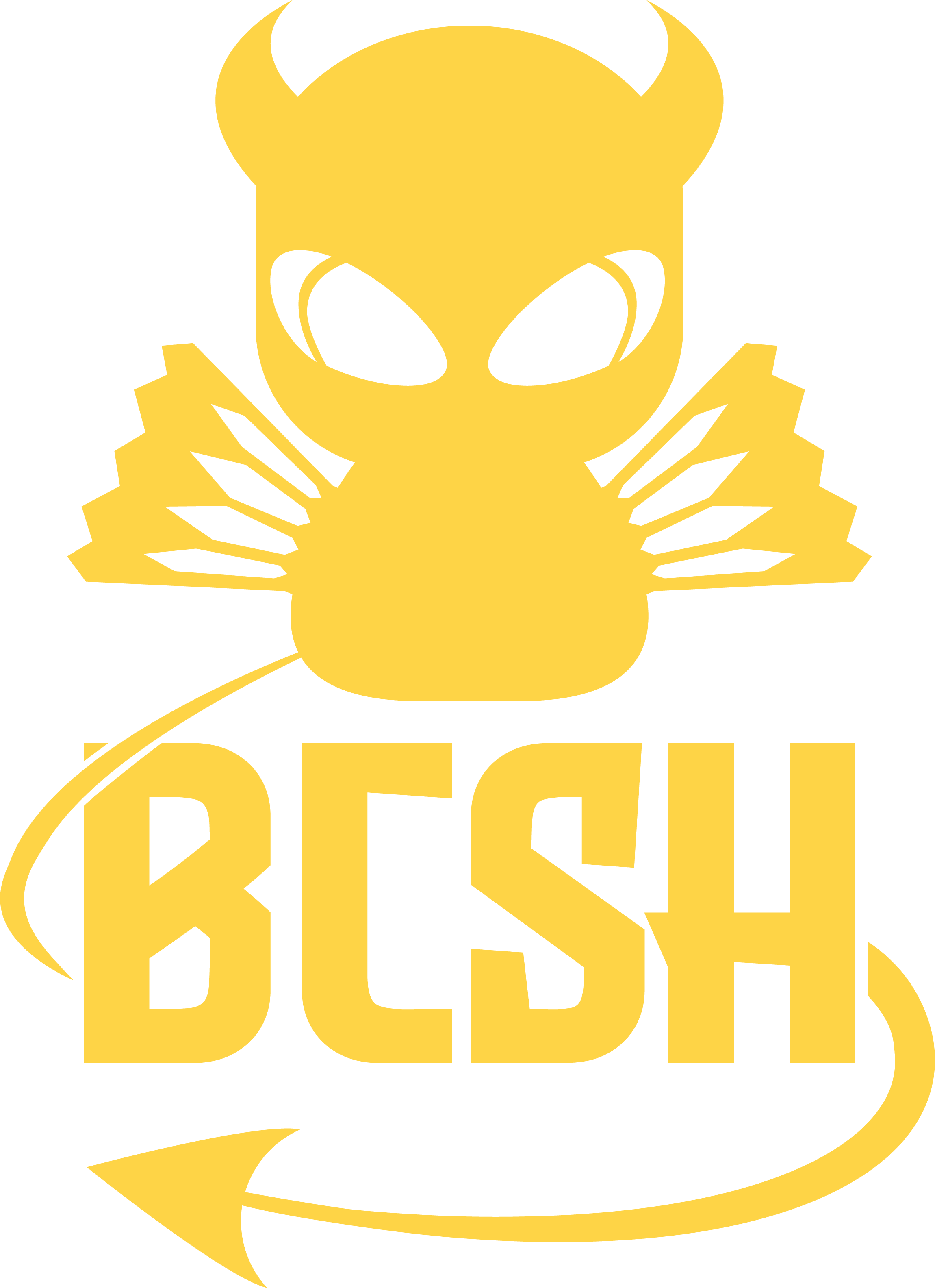 Logo BCSH